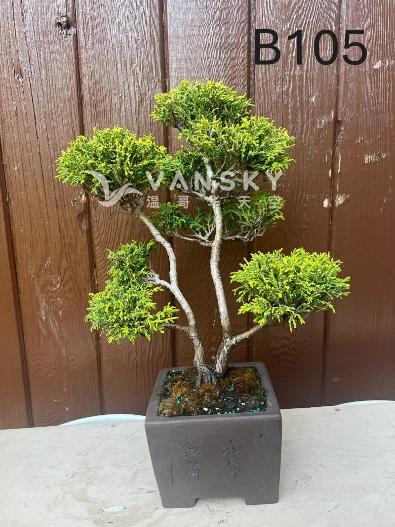 260323231115_B105 24 - 24-06.JPG